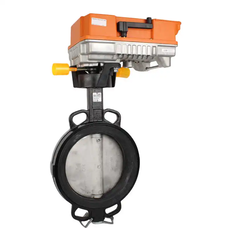 Electric Butterfly …