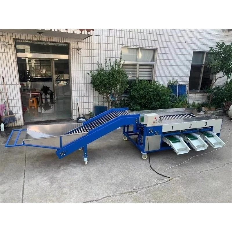 Roller Type High Efficiency Fruit Vegetable Nuts Sorting and Grading Machine