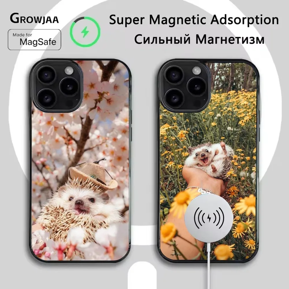 

Hedgehog animal Phone Case For iPhone 16e,16,15,14,13,12,11,Plus,Pro,Max,Mini Magsafe Magnetic Wireless Charging