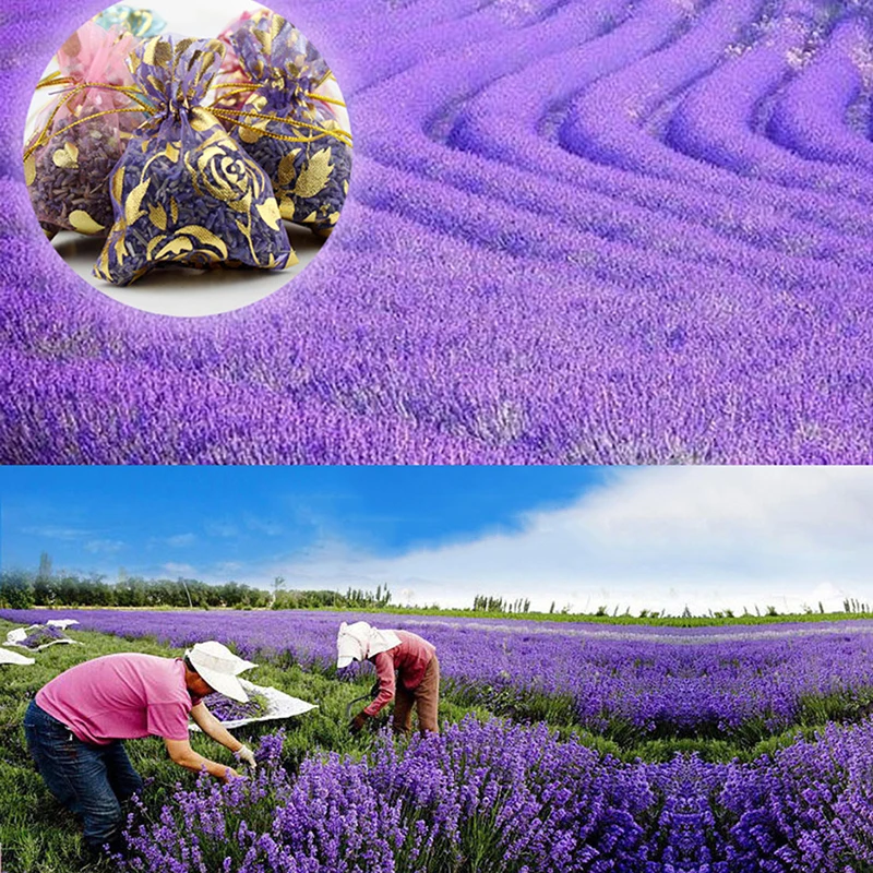 Aromatic Lavender Sachets Natural Dried Flower Bags For Household, Wardrobe, Car Refreshing Lavender Air Fresheners