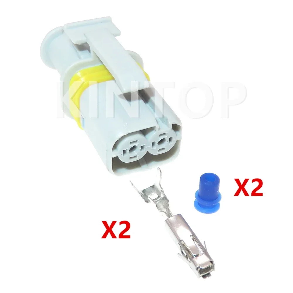 1 Set 2 Pins Automobile Electronic Injection Motor AC Assembly  Relay Wire Harness Waterproof Socket 18385000002