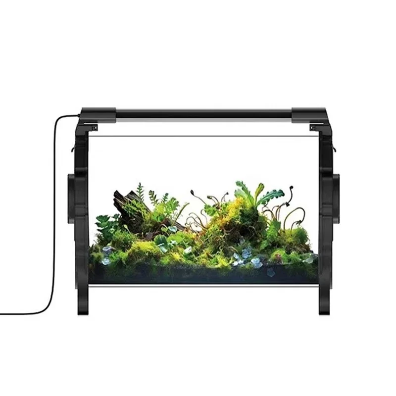 Biological culture chamber, micro-landscape tabletop ornament, borosilicate glass