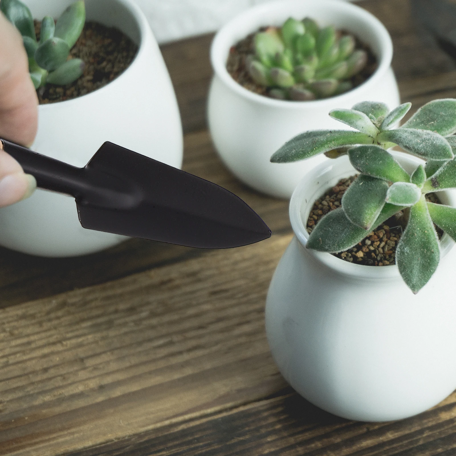 

1 set 1 Set Of Garden Tools Kit Mini Shovels For Succulents Bonsai Transplanting Planting Supplies Watering Pot Spraying Bottle