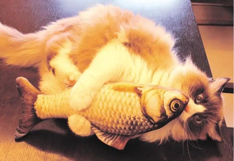 20cm Cat Favor Fish Toy Stuffed Fish Shape Cat Scratch Board Scratching Post plush toys For Cat Pet Toy Pet Products Supplies