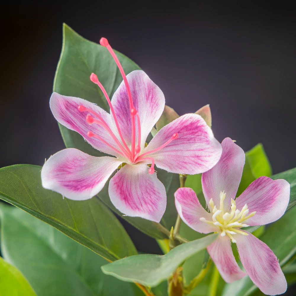 21-40 cm große künstliche Azaleenblüten, künstlicher Ficusbaum, künstliche Magnolienzweige, tropische Kunstbanyanblätter für die Dekoration von Zuhause und Büro – Detail 6