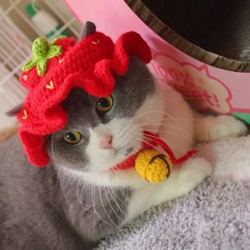 Cat Hat Cute Frog Shape Bunny Ears Funny Pet Cap Kitten Halloween Costume Cat Birthday Small Dogs Puppy Rabbit Sunflower
