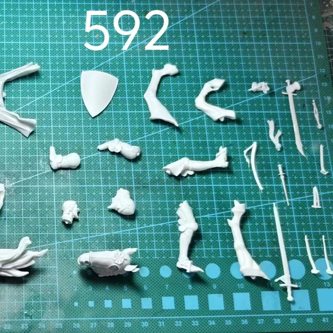 1/24 , Resin Model Figure GK，  Unassembled and unpainted kit