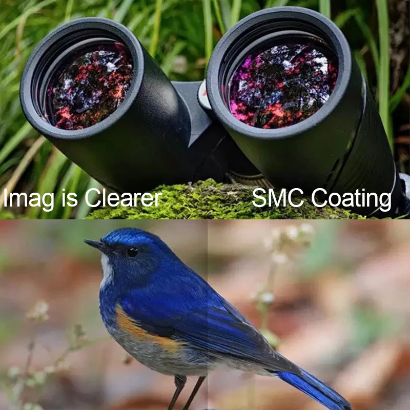 Shuntu 8X42/10X42 HD Binoculars for Adults High Power IPX7 Waterproof Binocular with BAK4 Prism and SMC Lens for Bird Watching