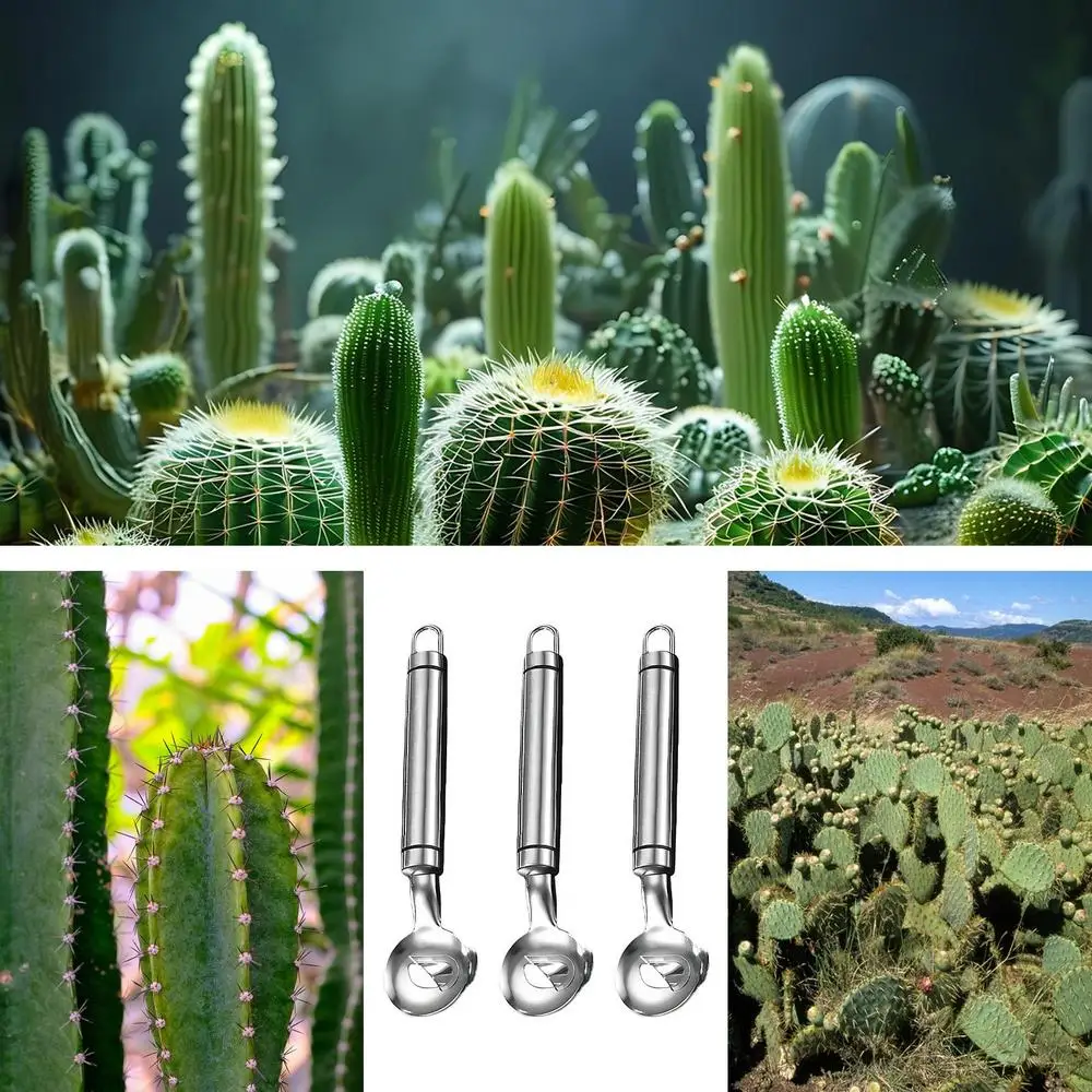 Home Kitchen Tool Peeler Multifunctional Stainless Steel Nopal Peeler Kitchen Accessories for Sliced Thorn Hole Mexican Cooking