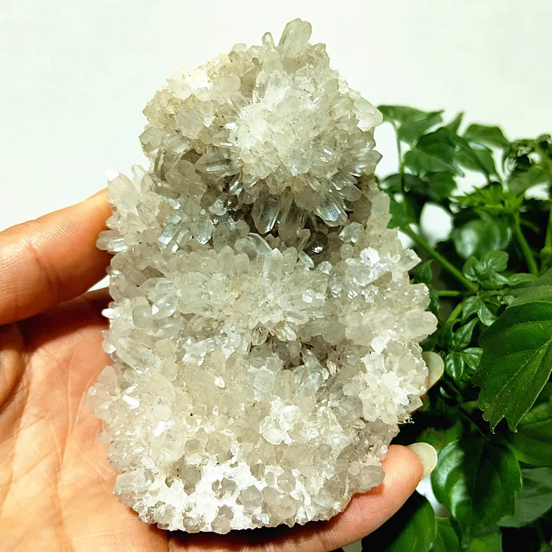 

100% Natural crystal Chrysanthemum Stone Crystal Cluster Specimen Home Room Decor Feng Shui Ornaments Teaching and Scientific