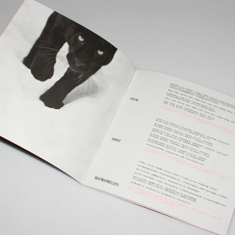 ألبوم أصلي Joker Xue ألبوم جديد للمبتدئين CD+ كلمات هدية عيد ميلاد شعبية صينية