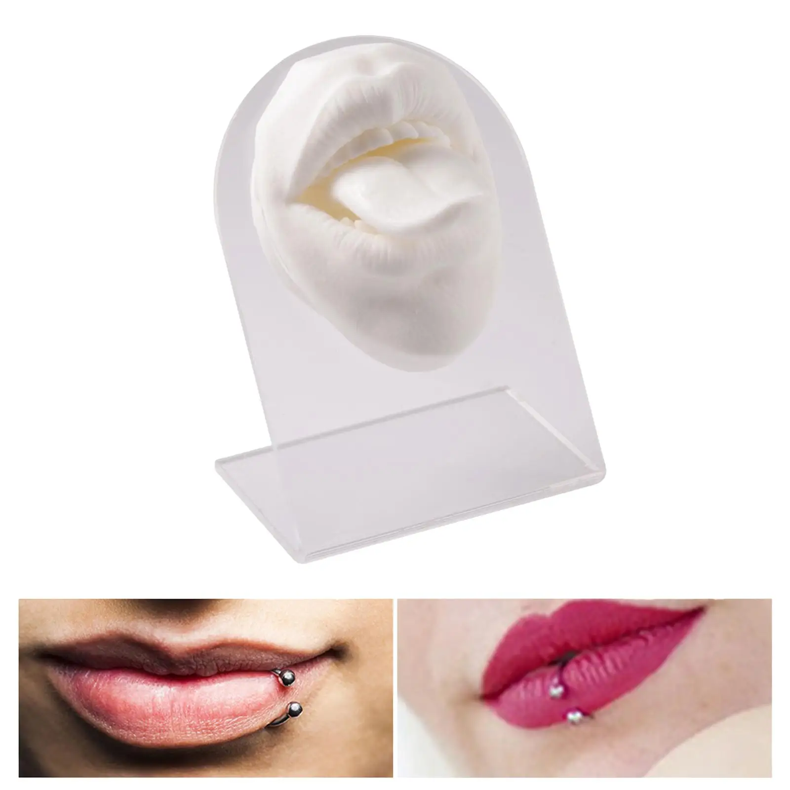 

Flexible Silicone Model for Educational Display and Practice Tool