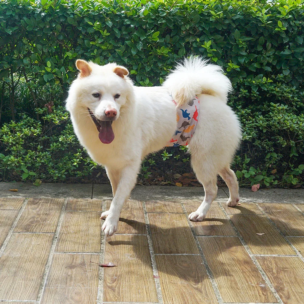 Thumbnail 2 - #47 Latest Dog Diapers Offers