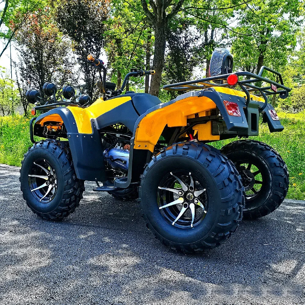 250cc 4x4 Quad Bike Water-cooled 4WD Farm Atv Disc Brakes for 2 Adults