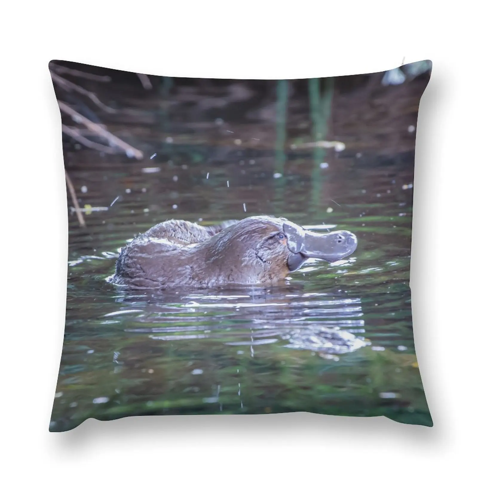 Platypus Playtime Throw Pillow Pillowcases Decorative Cushions For Luxury Sofa pillow