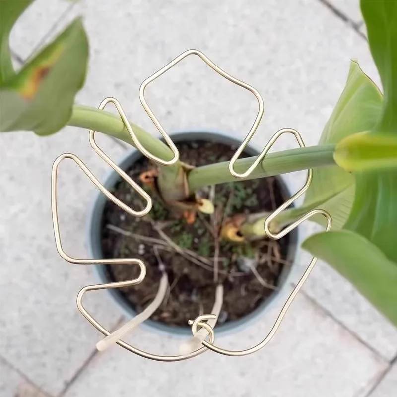 Indoor and Outdoor Use Plant Stem Support Iron Monstera Large Hanging Plant Stand Iron Hooks Suitable for Flowerpot Decoration