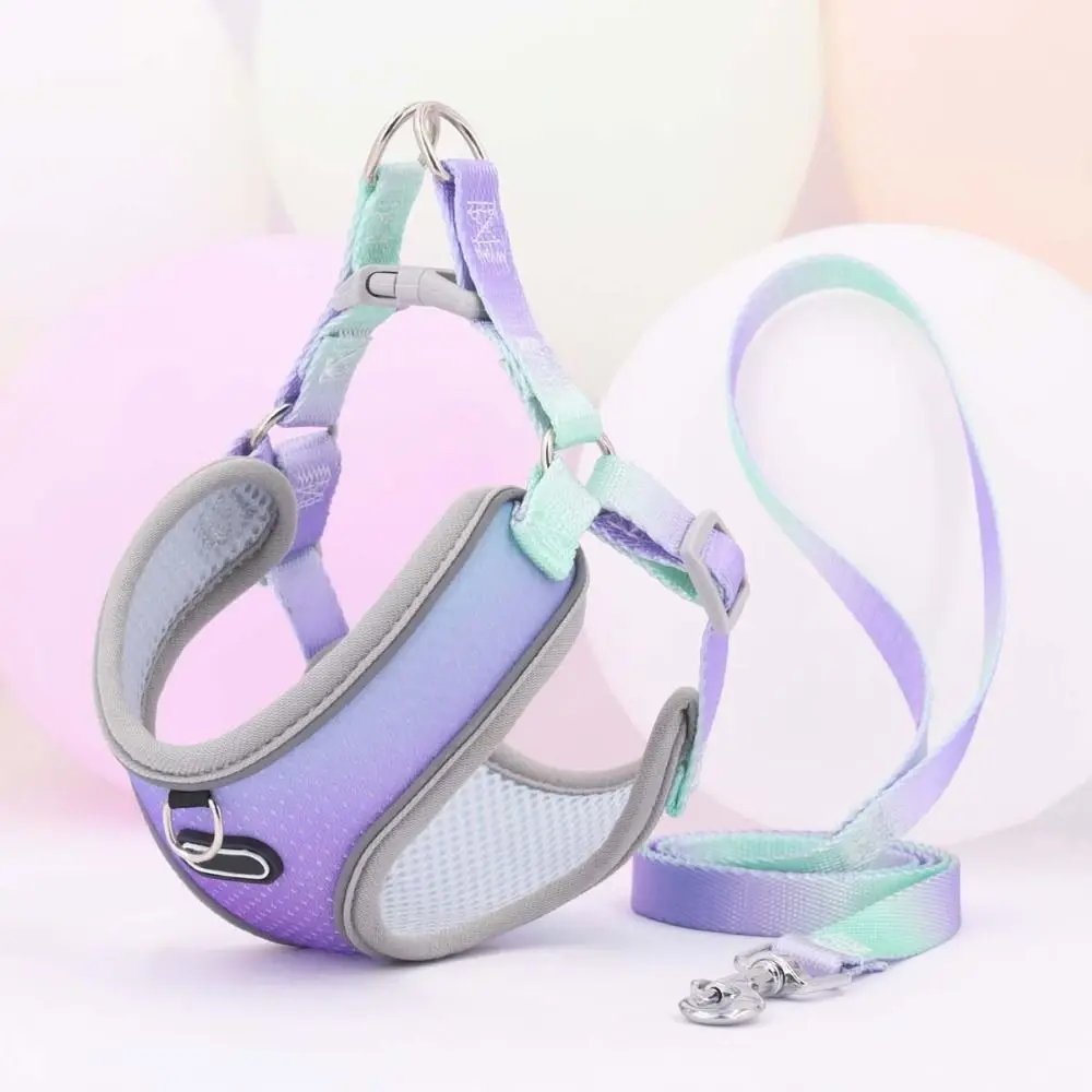 Dog Harness for Small, Medium, Pet Dog Ombre Harness and Leash Set.