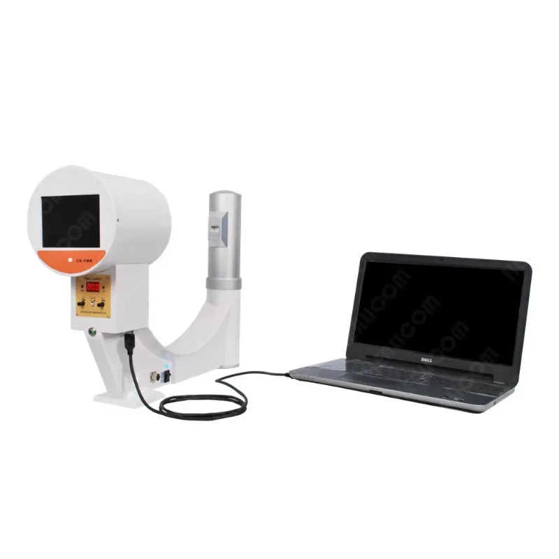 Animal Cinics Using Portable Handheld Small Animal Digital Perspective Dog Cat X-ray Machine