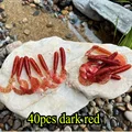 40pcs dark red