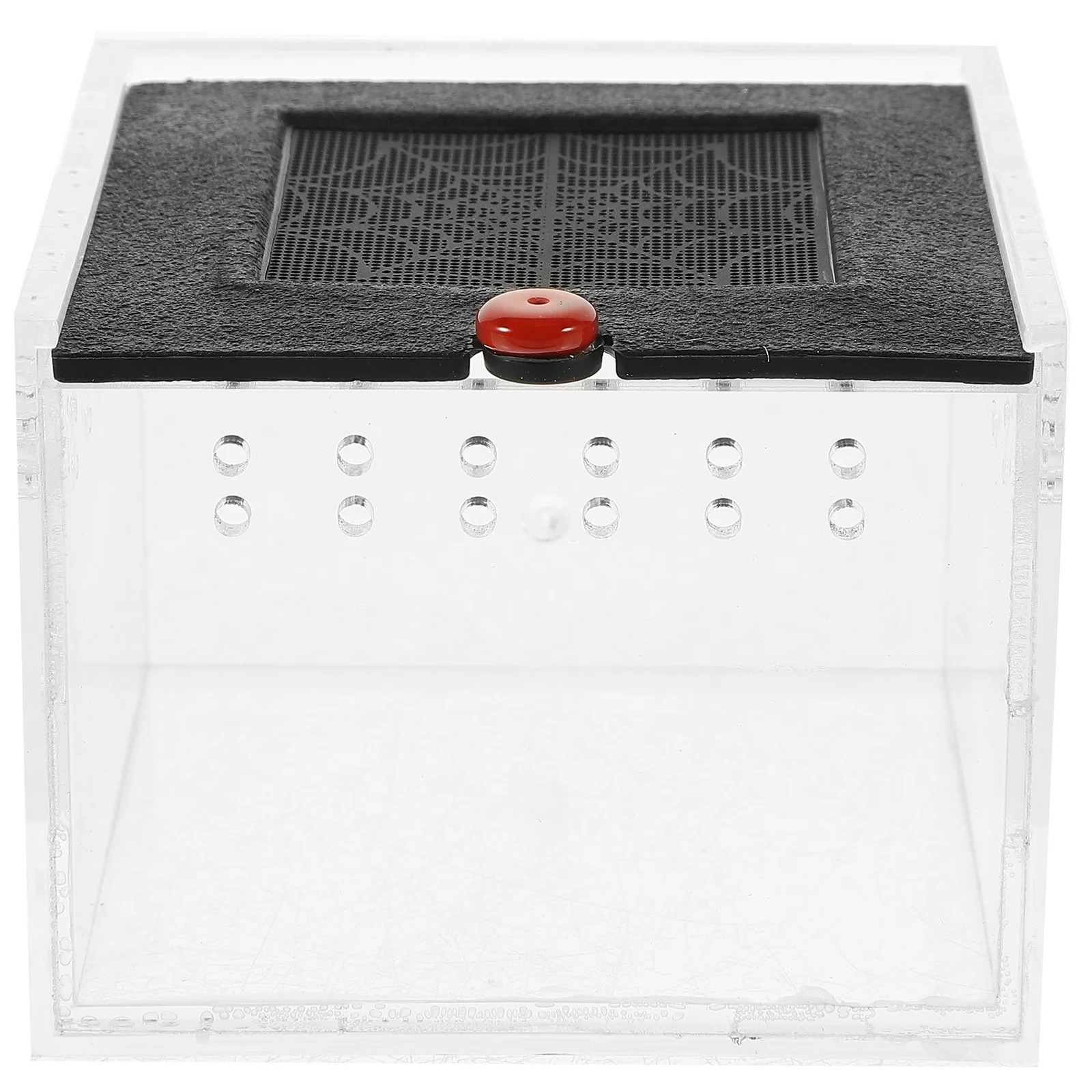 Kotak Makan Reptil Akrilik Transparan Terarium dengan Ventilasi untuk Laba-laba, Kadal, Siput, Serangga, Habitat Hewan Peliharaan, Kotak Pajangan