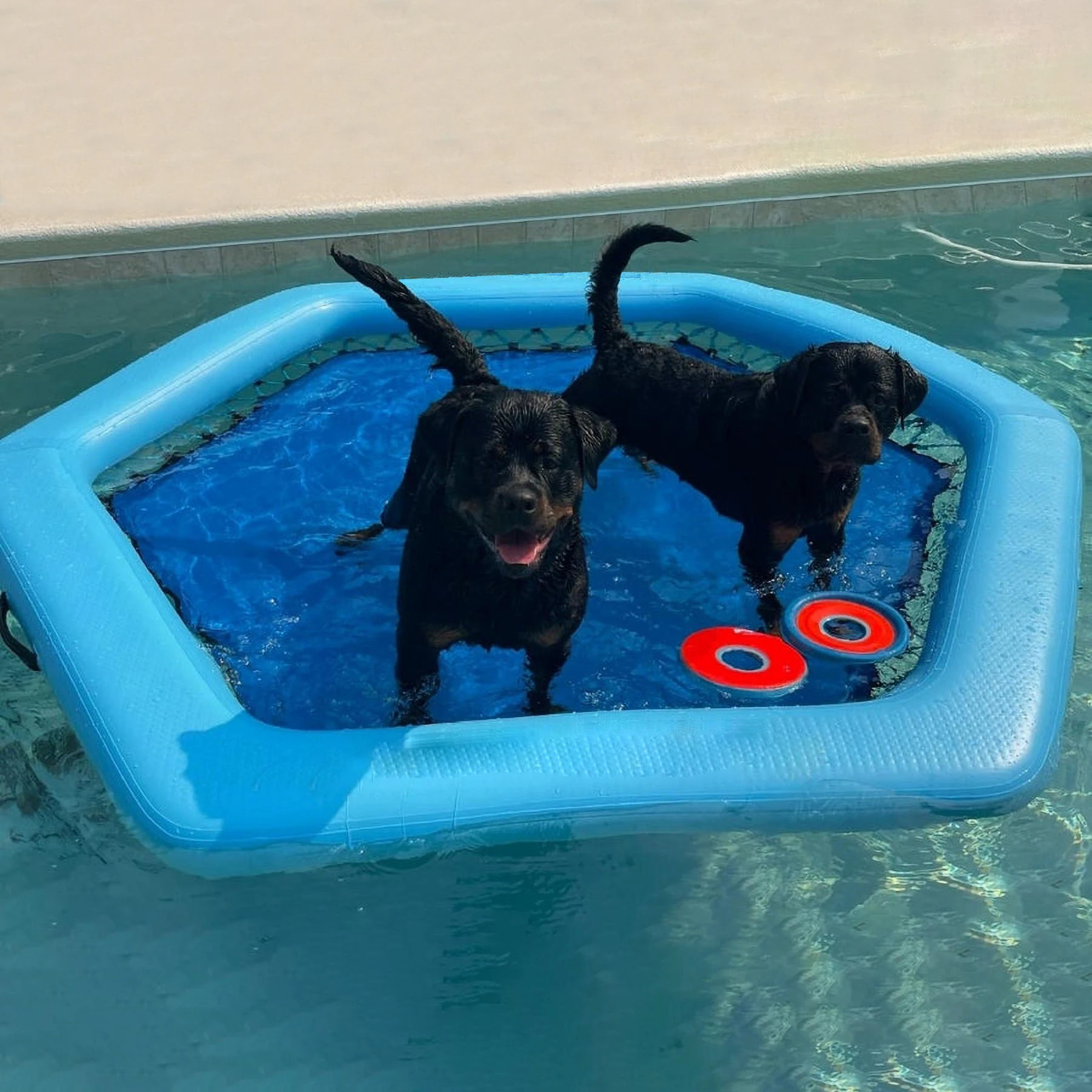 

Water Inflatable Floating Platform Pool Lounge Chair Floating Amusement Pool Inflatable Water Hammock Floating Platform