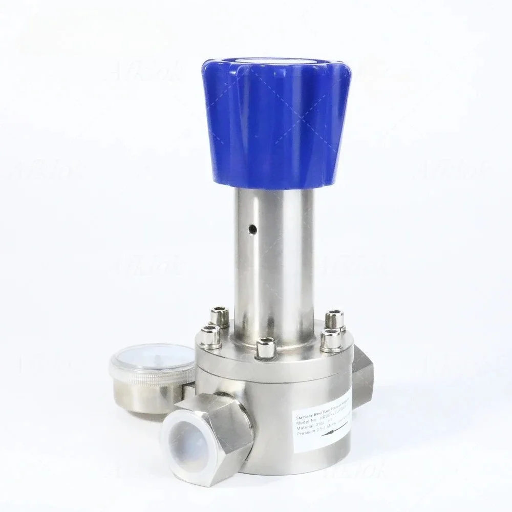

RW74 Stainless Steel Back Pressure Valve for Hydrogen