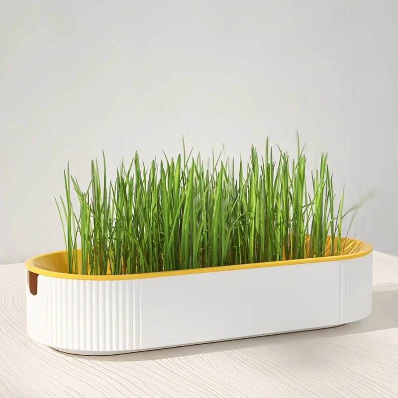 2pcs Hydroponic Cat Grass Planter - Soilless Growing Kit For Fresh & Healthy Feline Treats, Durable Plastic