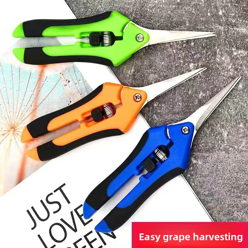 Fruit Picking Pruning Shears, Heavy-Duty Pruning Scissors, Garden Fruit Picking Shears, Specialized Grape Pruning Scissors - view 2