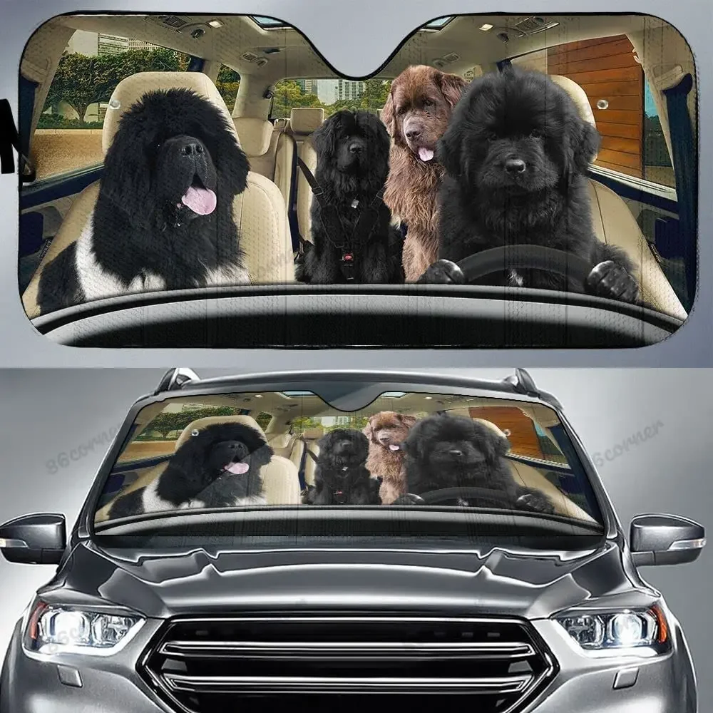 Newfounland Family Driving Car Sunshade, Newfoundland Family Car Sunshade for Windshield, Newfoundland Dog Lovers Sunshade, Car