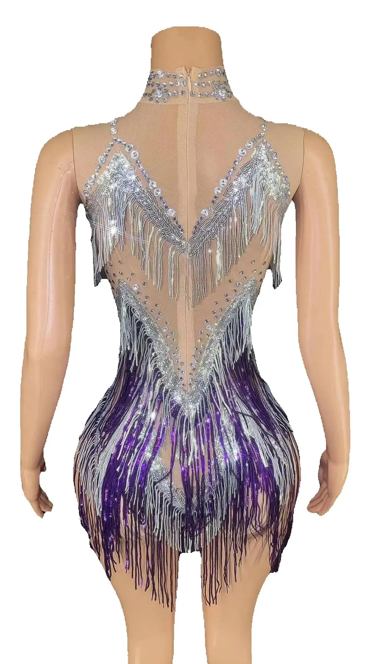 

ZD Transparent Glitter Fringe Sexy Mini Club Dress Stage Party Dance Performance Wear Sleeveless Performance Dress Sparkly