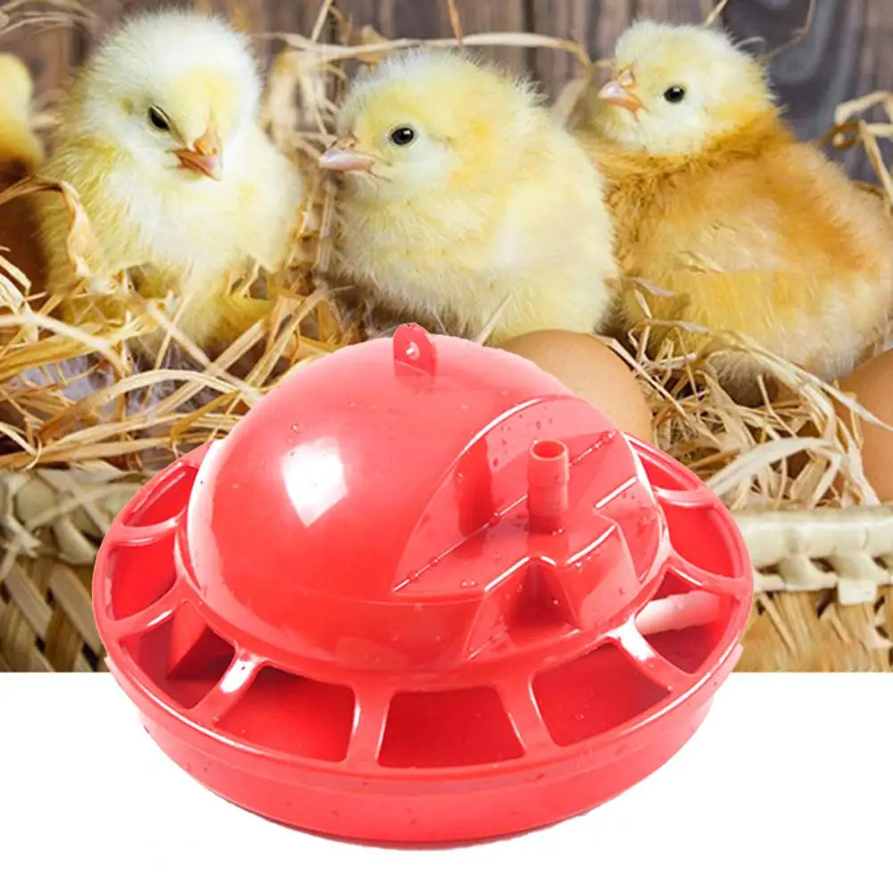 Chick Drinking Bowl High Capacity Poultry Waterer Automatic Water Feeder Plastic Detachable Poultry Waterer for Pet