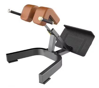 New Arrival strength training gym equipment multi-functional abdominal exercise roman chair back extension