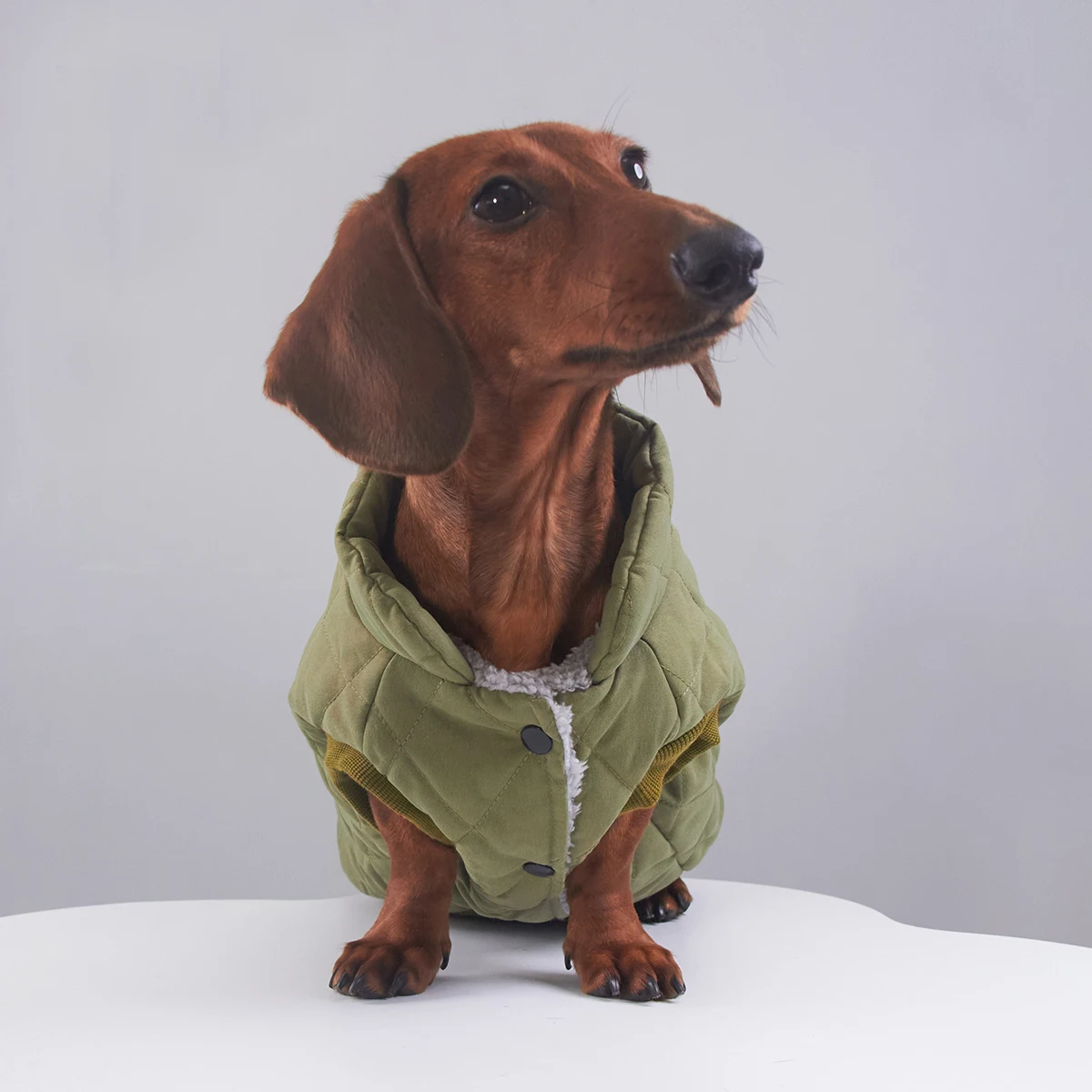 Dicke Fleece-Winterjacke für Wiener Hunde, warmer grüner Herbstmantel für Dachshunde, kurze Ärmel für Dackelhunde