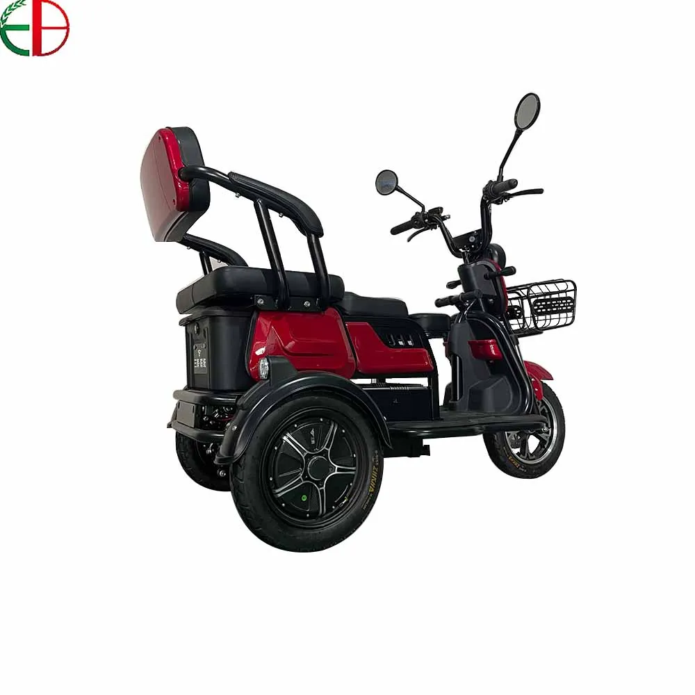 China EEC CE  2022 New 3 Wheel Leadacid Battery 60V20A 800W Electric Passenger Electric Tricycle