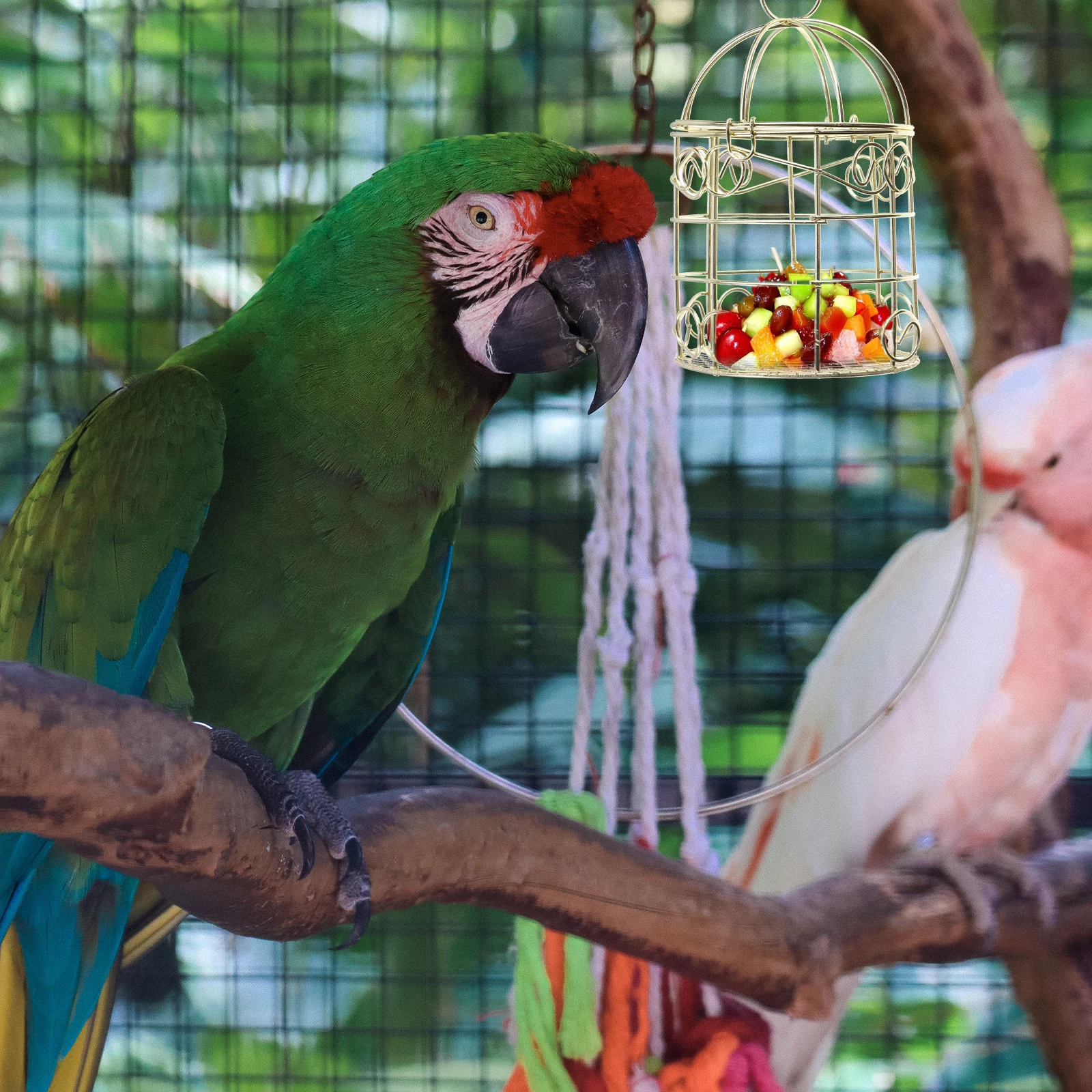 

2PCS Bird Cage Feeder Hollow Iron Wrought Hanging Pet Bird Feeding Small Garden Home Vegetables Fruits Outdoor Indoor Decor