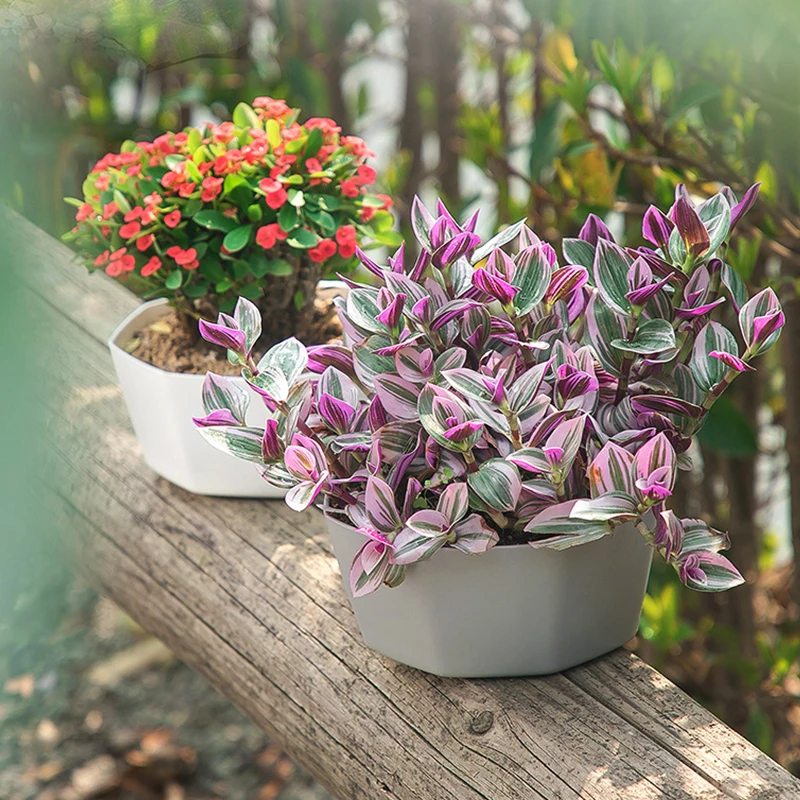 2/5Pcs Large Diameter Succulent Flower Pot Resin Thickened Flowerpot Solid Construction Large Capacity Flower Pot with Tray