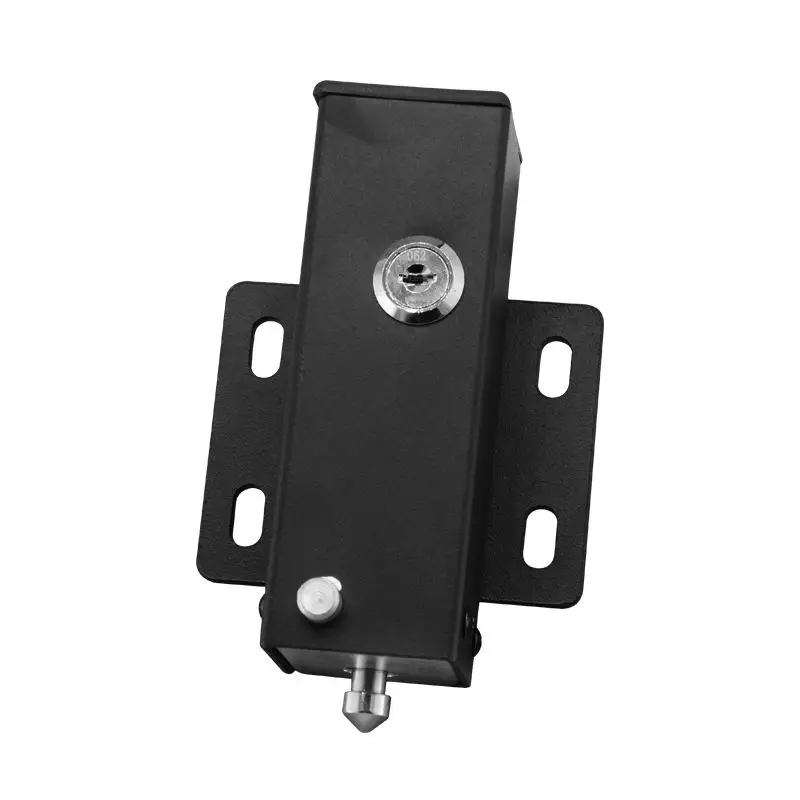 12V 24V Gate Opener Outdoor Electric Security Swing Gate Electric Lock