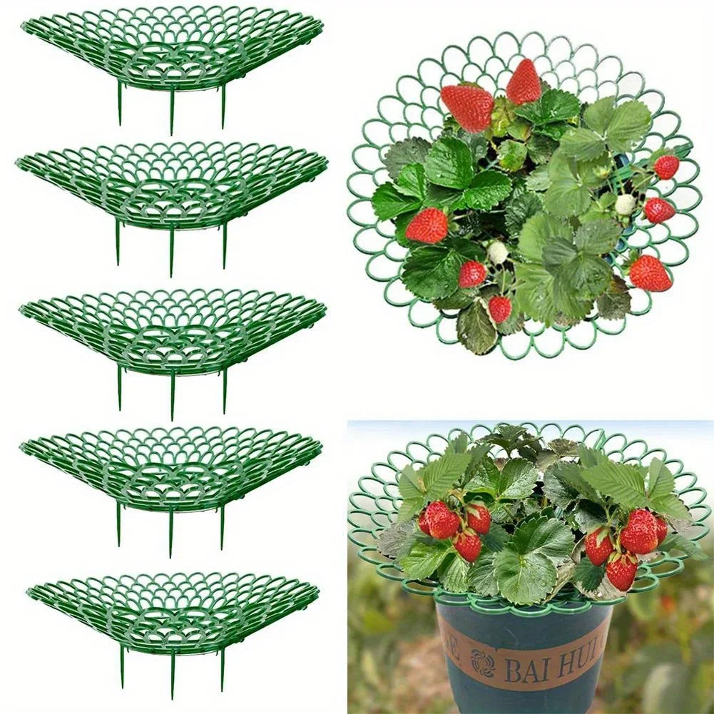 5pcs Strawberry Plant Supports With 3 Sturdy Legs Strawberry Growing Racks For Mold Rot Dirt Gardening Accessories