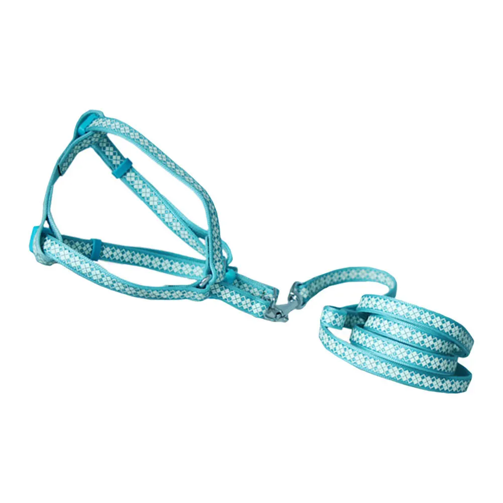 كلب المقود عاكس محبوك مقاومة للاهتراء خفيفة الوزن دائم في الهواء الطلق القط هريرة المشي حبل جرو التدريب المقود #3