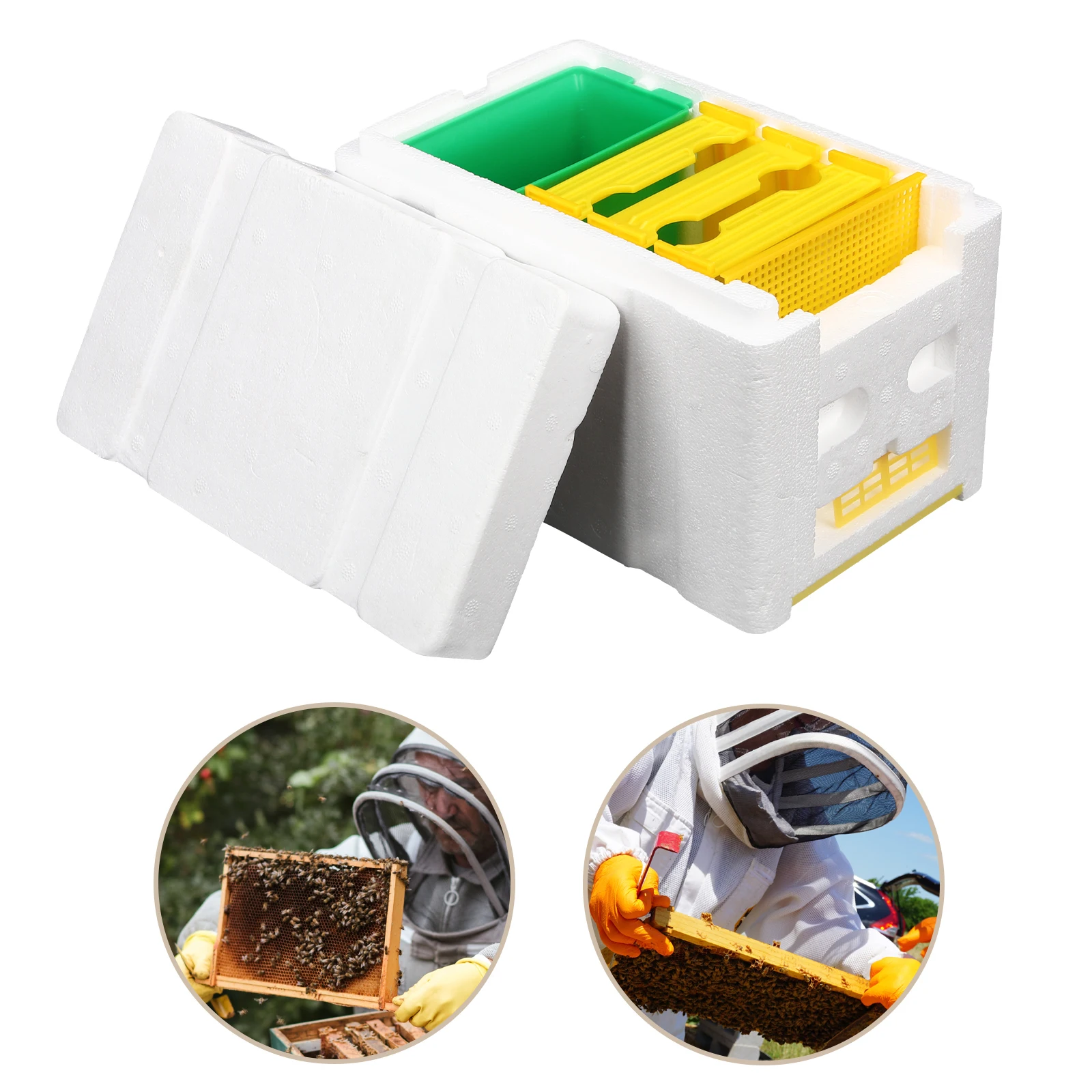 

Beehive Pollination Box 3 Frames Plastic Beekeeping Houses for Bees Breeding Mating Professional Queen Rearing Tool