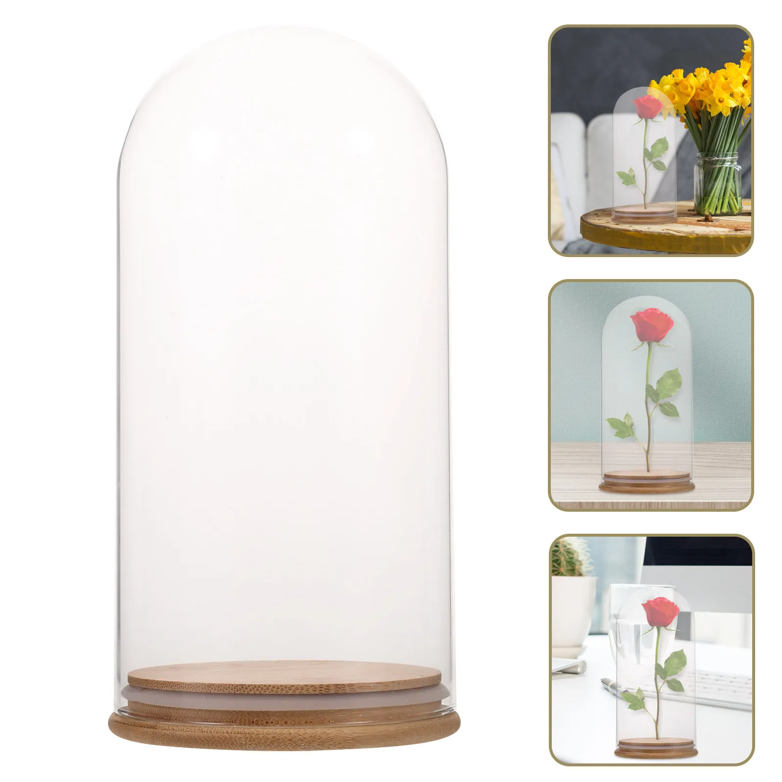 

Premium Clear Glass Cloche Dome with Sturdy Base for Eternal Flowers DIY Decor Collectibles 360 Degree Display Home Office