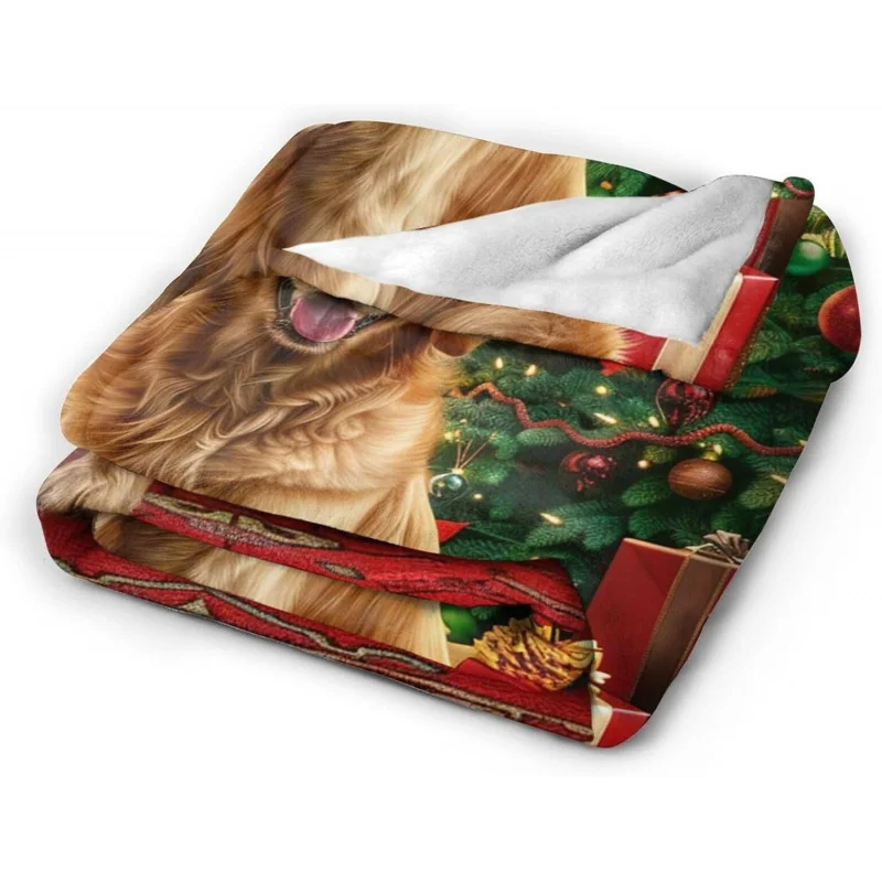 Santa Claus soft blanket flannel non fading can be used for air conditioning, rest, sofa, living room, 50 inches x 40 inches