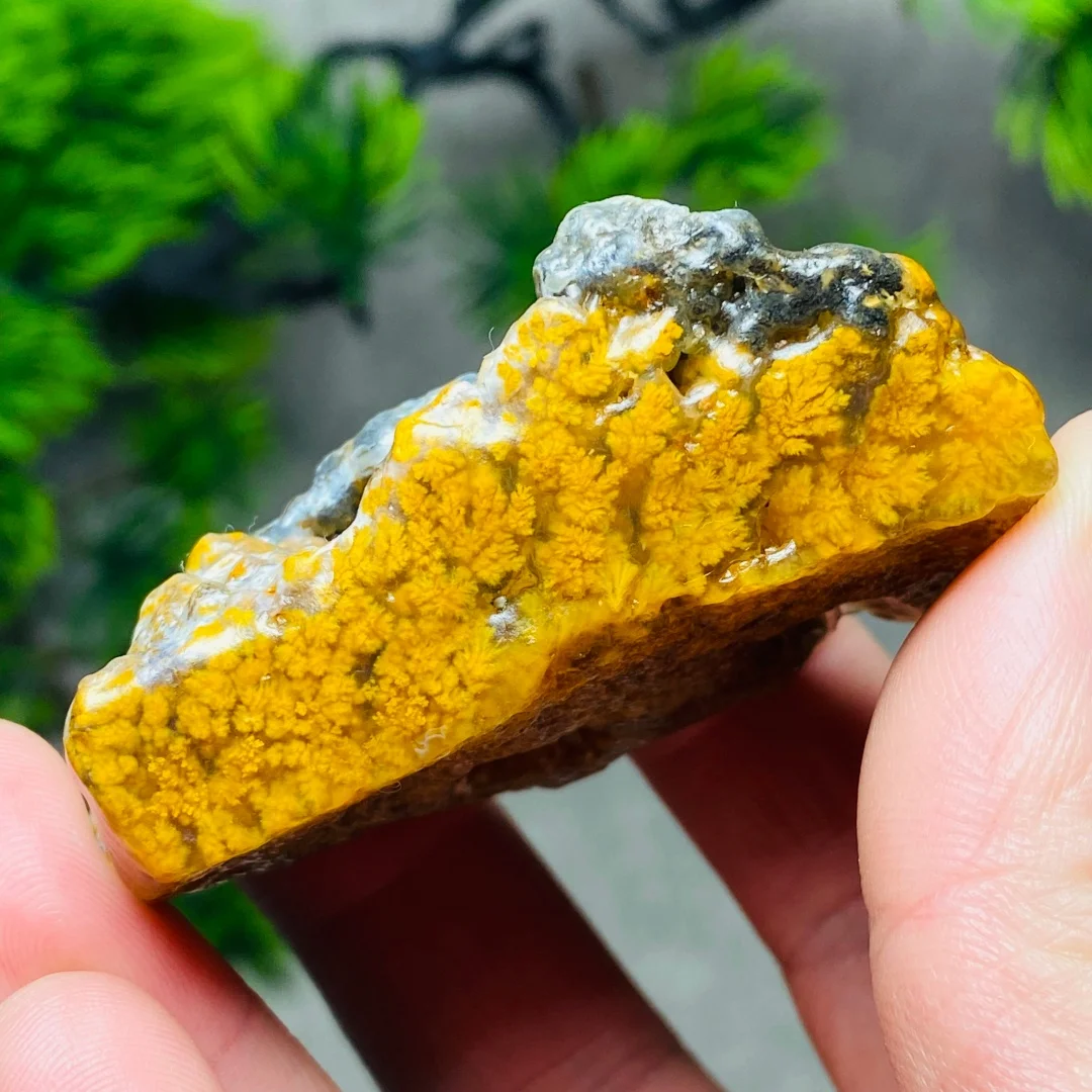 Natural Stone Raw Gobi Desert Agate Crystals Minerals Healing Reiki Home Decor Garden Decoration Gift