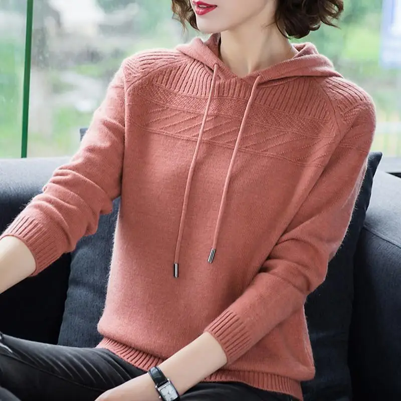 Vintage Fashion Spring Autumn New Women's Solid Hooded Screw Thread Korean Casual Long Sleeve Pullovers Knit Sweatshirts Tops