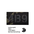 Luminous patch 14