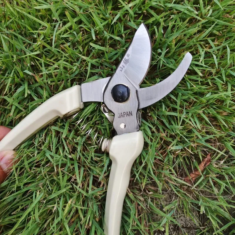 

Секаторы для ветвей растений, инструмент для садоводства сада, ножницы для резки кустарников, секаторы для цветов бонсай