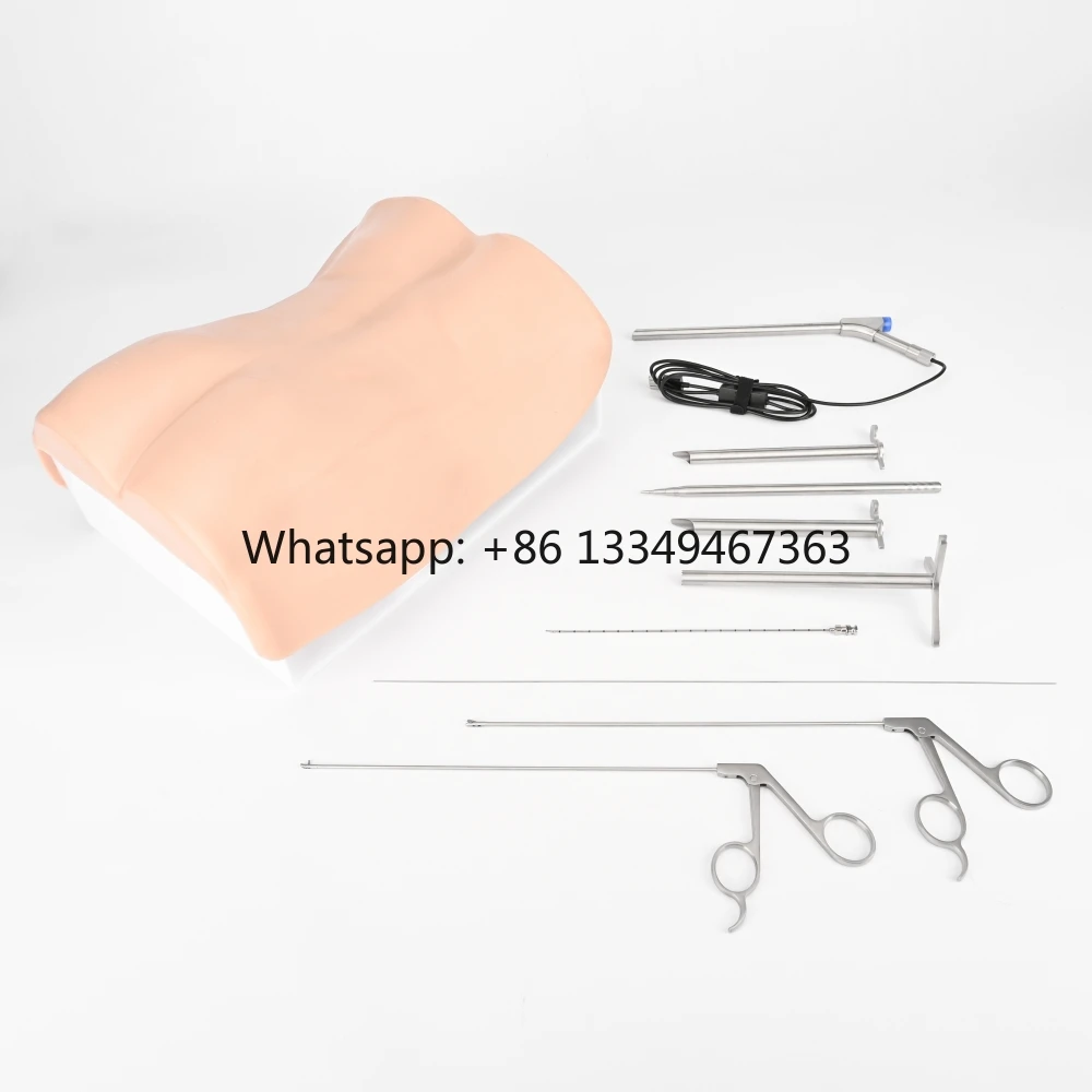 

Межпозвонковая Foramen с моделью поясничного отдела позвоночника, артроскопия, тренировочный тренажер UBE, тренажер для межламинарной обесхимии