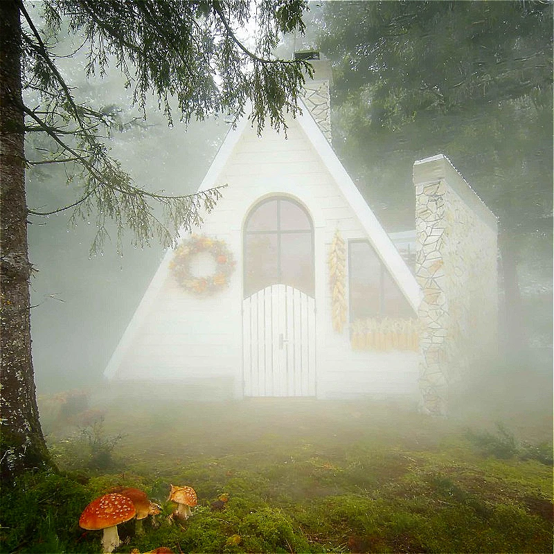 Prefabricated Triangular Wood Cabin for Backyard Office Mountain Retreat Custom Tiny Home Holiday Rental Cabin High Quality Sale