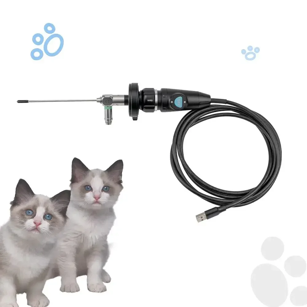 Cat Dog Sheep Cow Animal Pet Veterinary Medical Endoscopic 1080P Portable For Rigid Endoscope