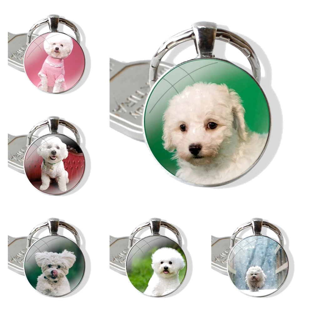 Keychain Glass Cabochon Metal Pendant Classic Men's Women's Keyring Animal Bichon frise dog